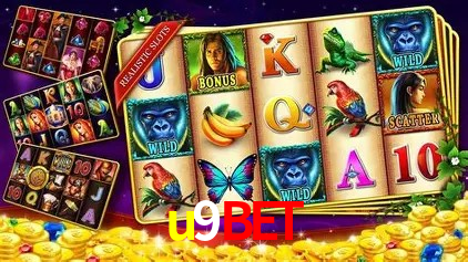u9bet Brasília - Leaderboards